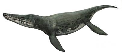 image006.png