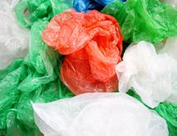 todavia-no-estas-obligado-a-cobrar-las-bolsas-de-plastico_ampliacion.jpg