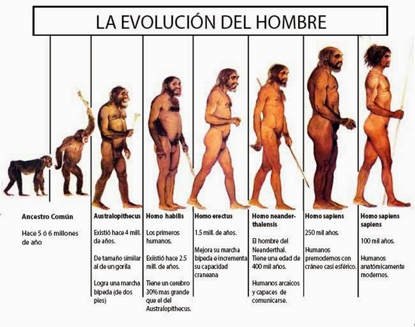 Imagen relacionada