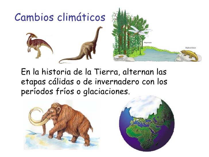 cambios-en-la-historia-de-la-tierra-2-728.jpg
