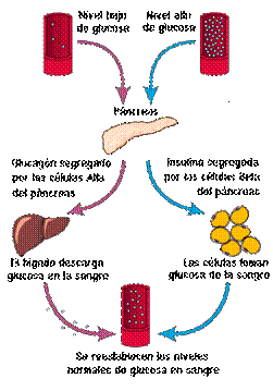 overview of the flow