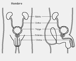 INCOTI
