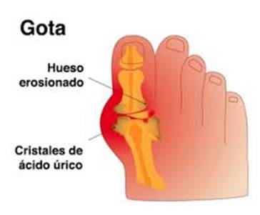GOTA.jpg