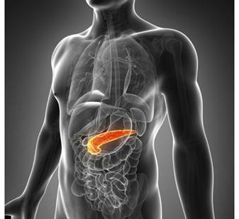 pancreatitis-aguda.jpg