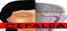 CEFAICO