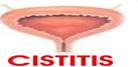 CISTICO