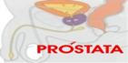 PROSTAICO